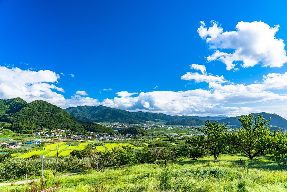 産業廃棄物を管理するエコ活動